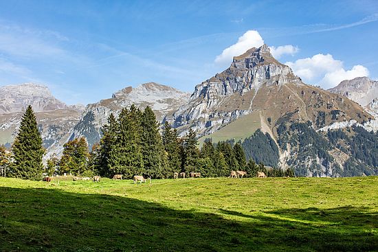 Landschaft